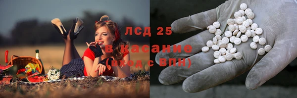 ПСИЛОЦИБИНОВЫЕ ГРИБЫ Алзамай