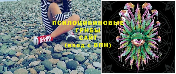 ПСИЛОЦИБИНОВЫЕ ГРИБЫ Алзамай