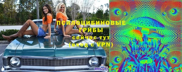 амф Абинск