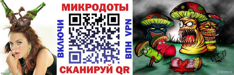 Галлюциногенные грибы Psilocybe  купить наркотики сайты  Новоульяновск 